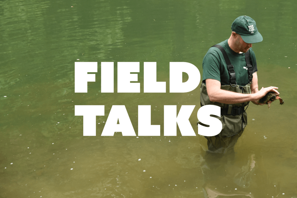 field talks