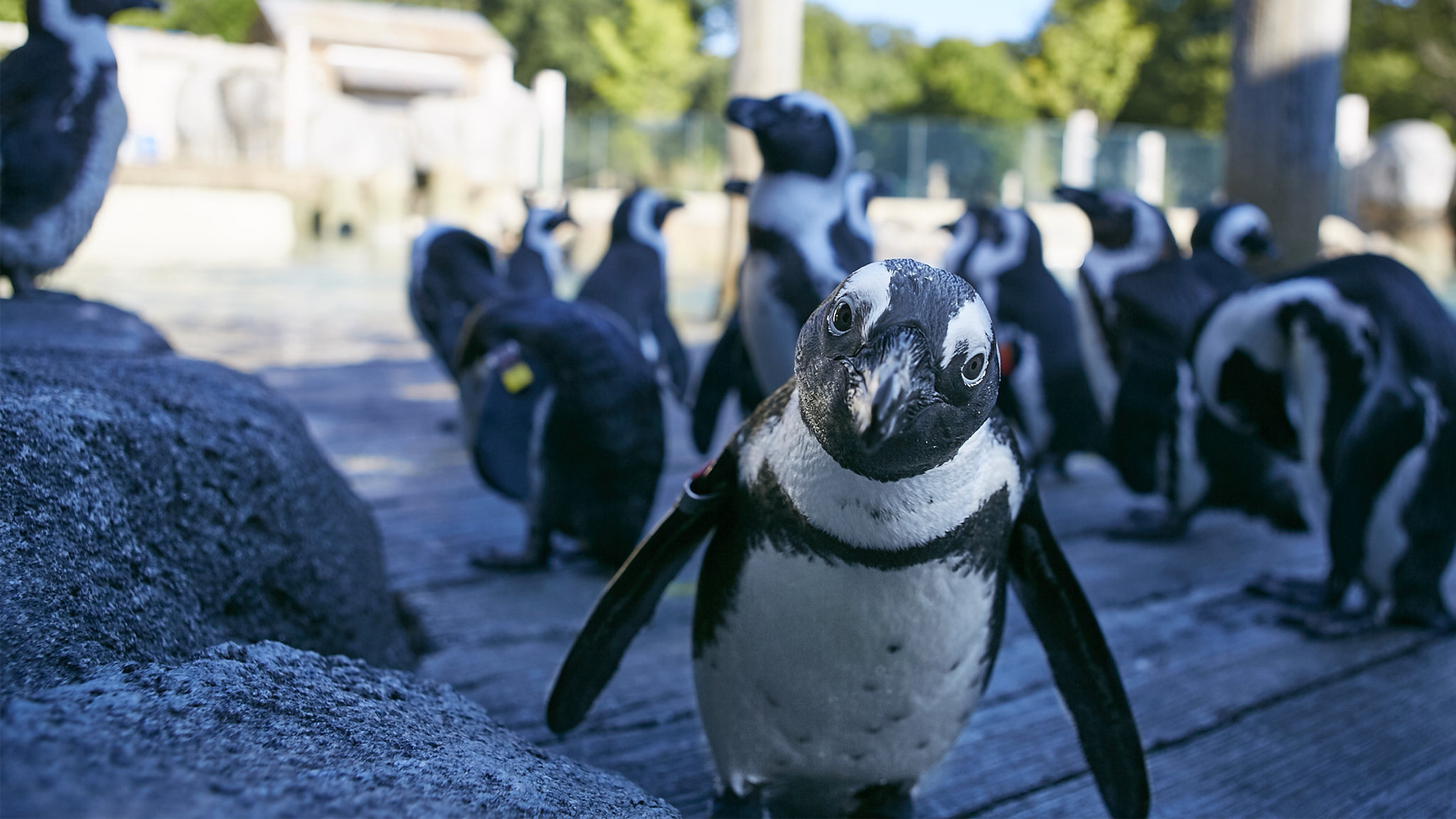 The Maryland Zoo in Baltimore