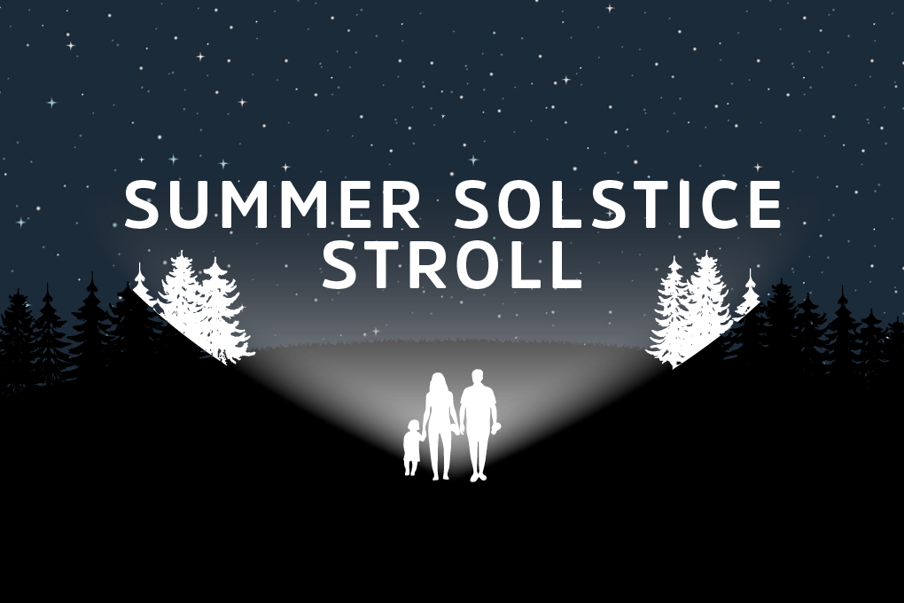 Summer Solstice Stroll logo.