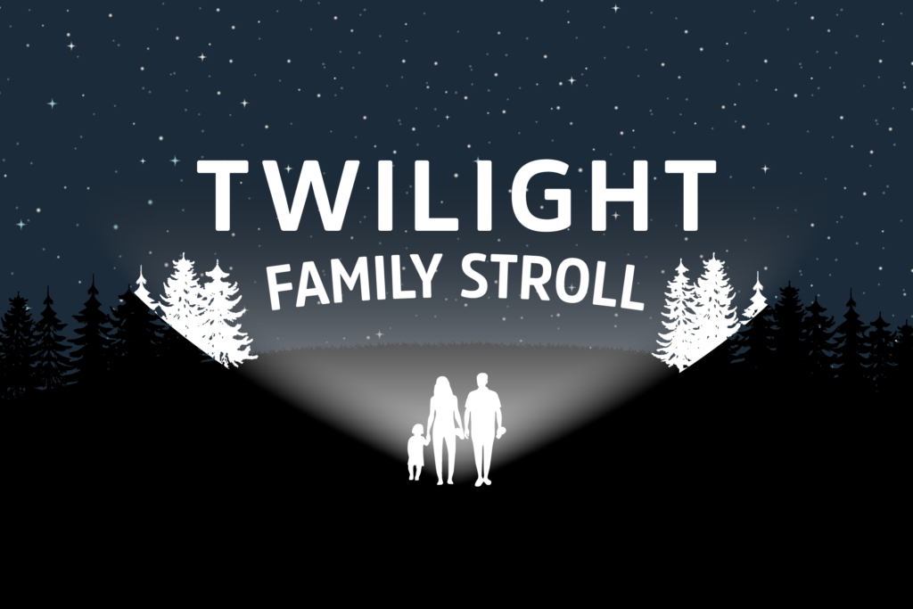 twilight family stroll