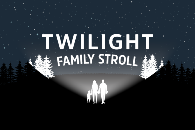 Twilight Family Stroll image