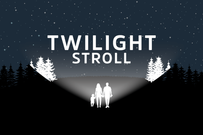Twilight Stroll image