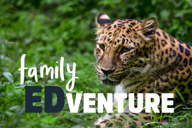 family Edventure