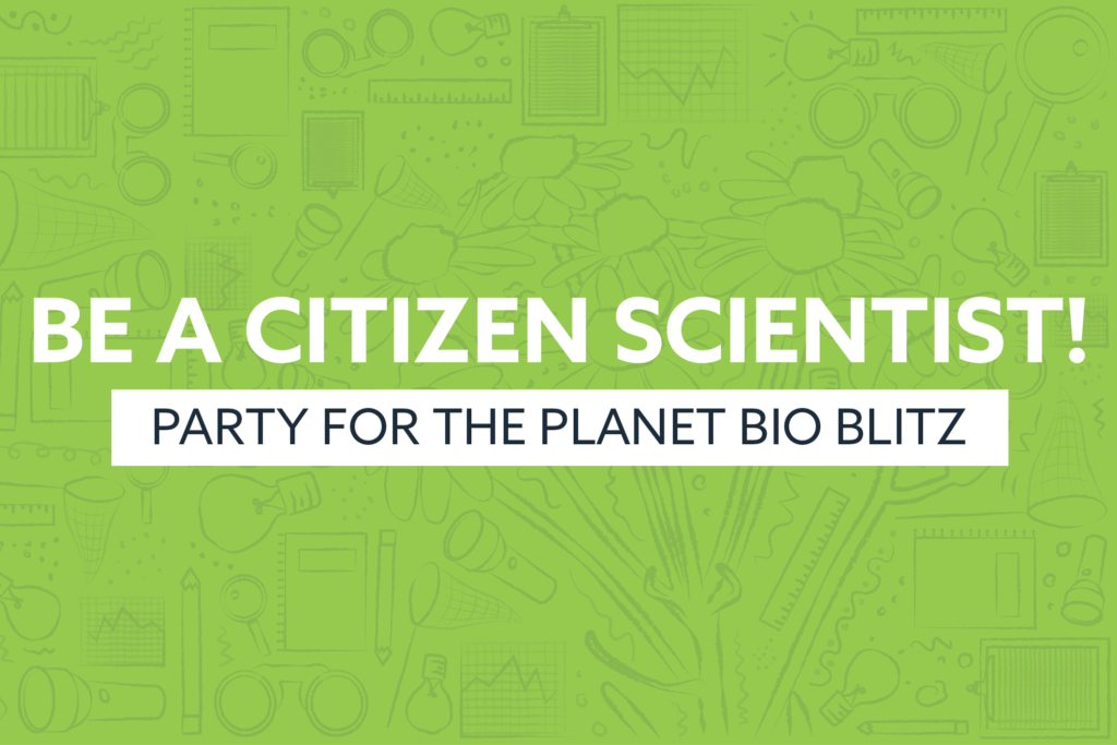 be a citizen scientist Party for the planet bio blitz