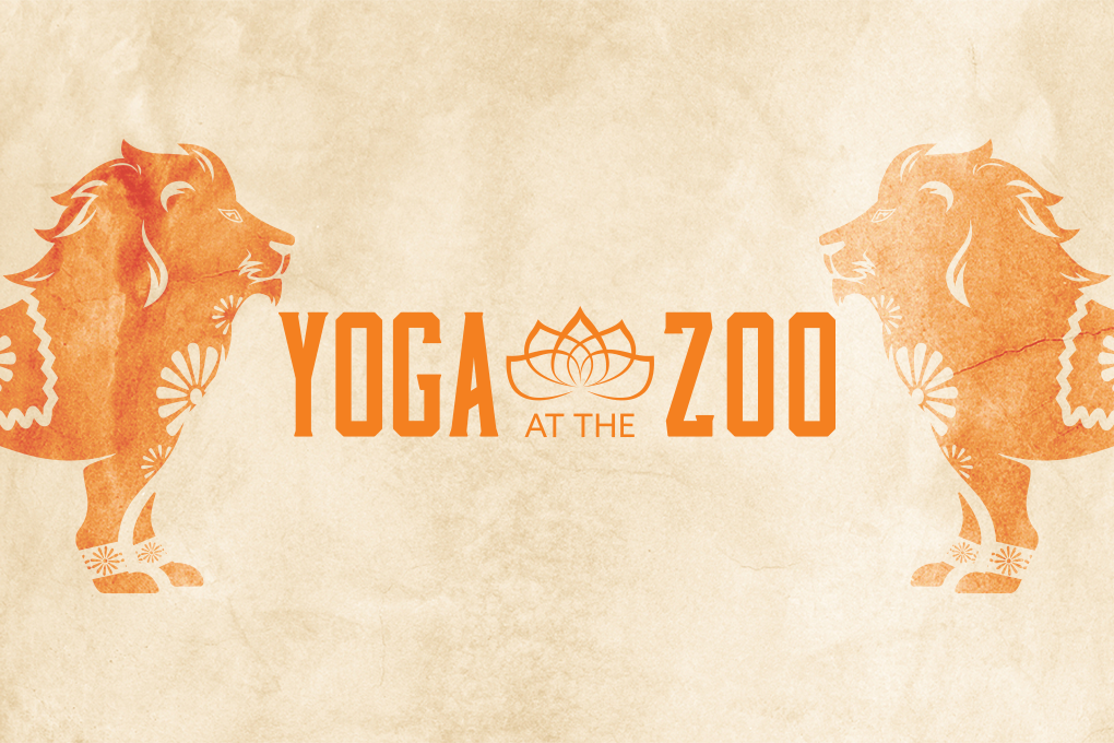 yoga at the zoo