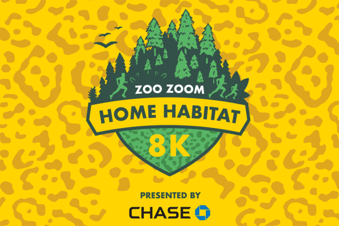 zoo zoom home habitat 8K