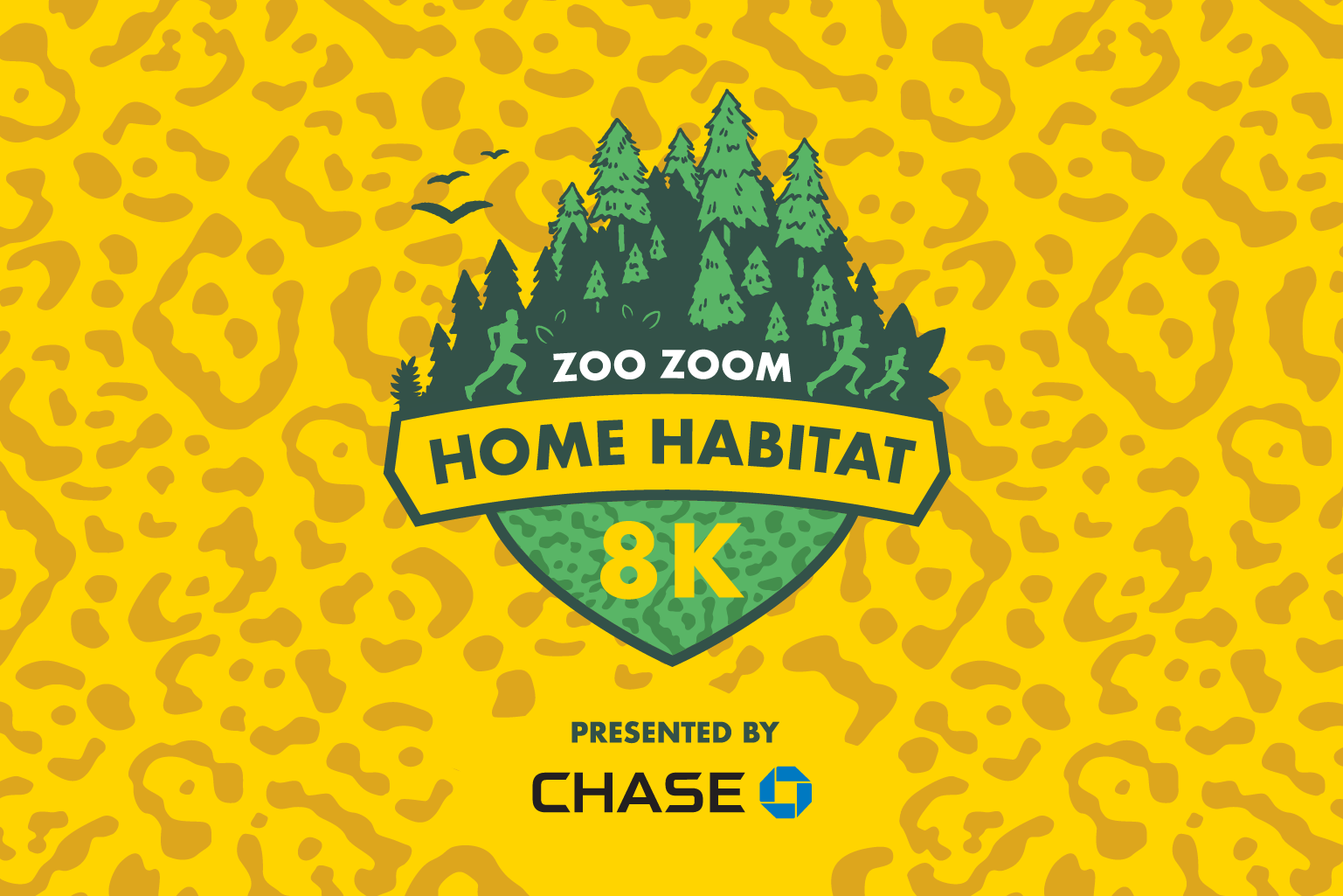 zoo zoom home habitat 8K