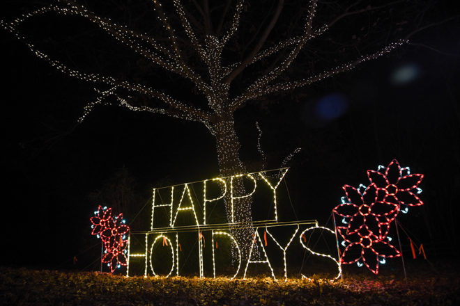 Happy Holidays christmas light structure