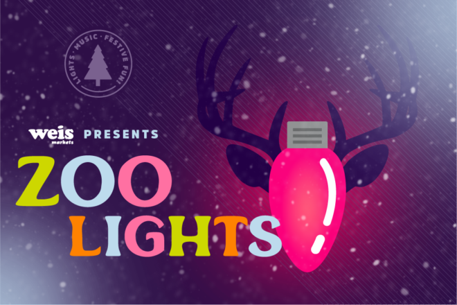 Weis Markets presents Zoo Lights