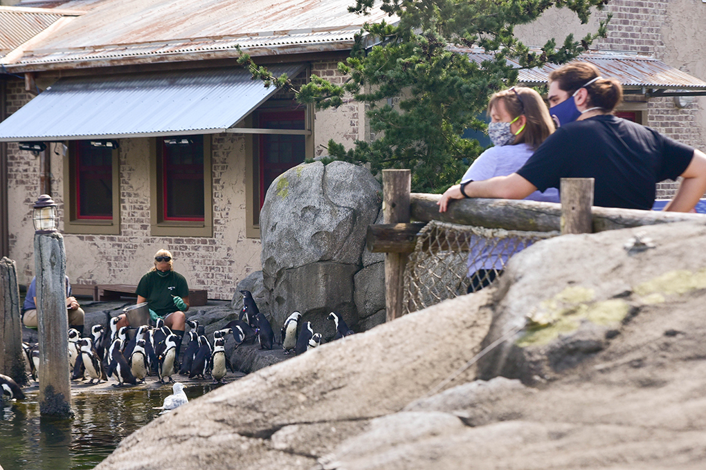 2021 Member Mornings The Maryland Zoo