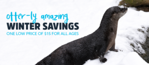 dc zoo hours and prices dc zoo hours and prices