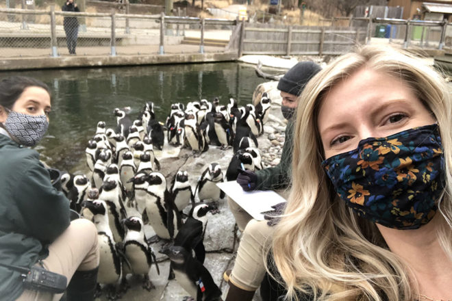 woman taking a selfie in front of an african penguin feeding