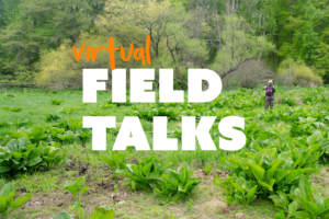 virtual field talks