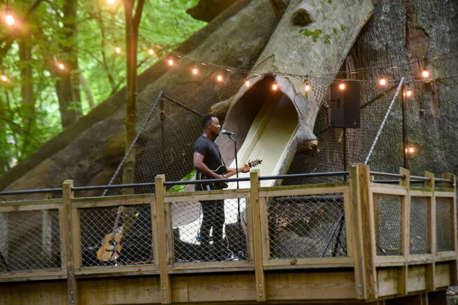 man singing with guitar next to tree slide on deck