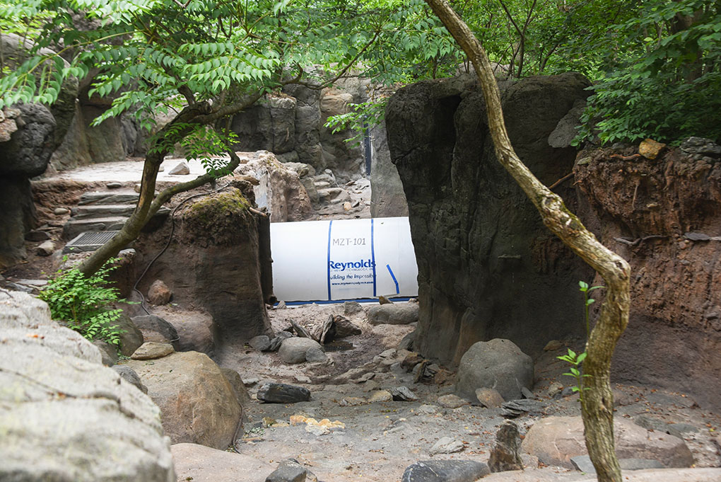 drained otter habitat with new tunnel installed.