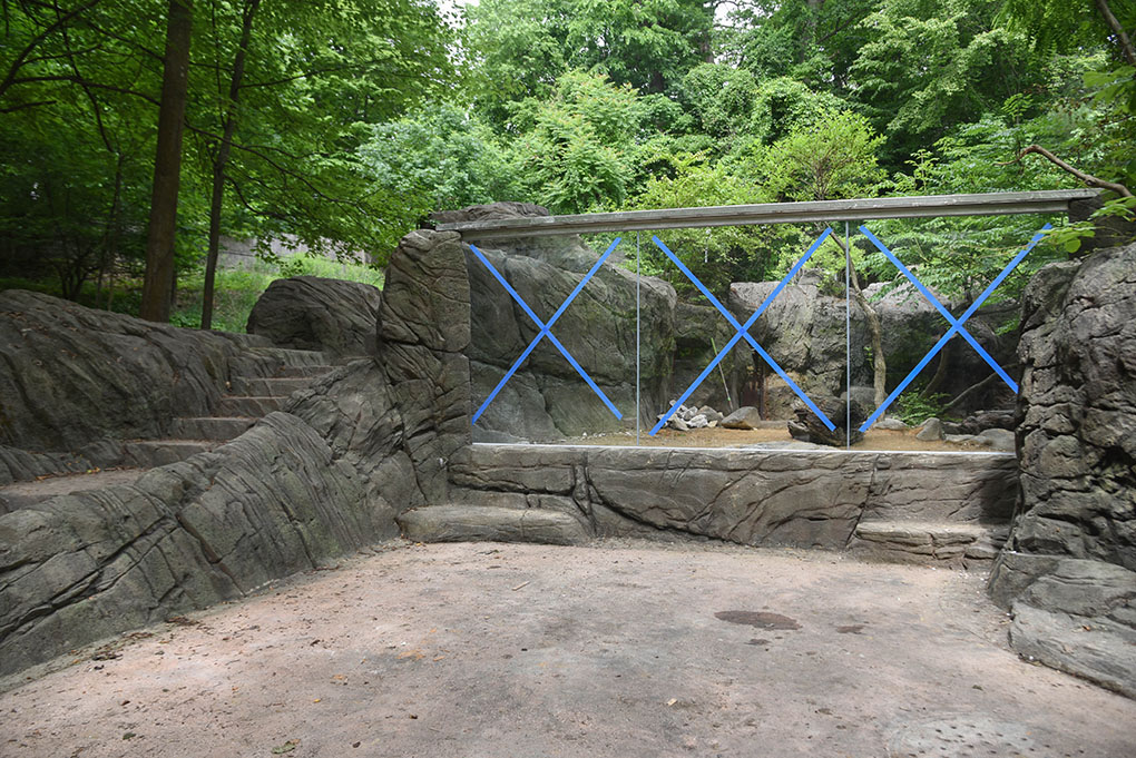 otter habitat with new glass window installed.