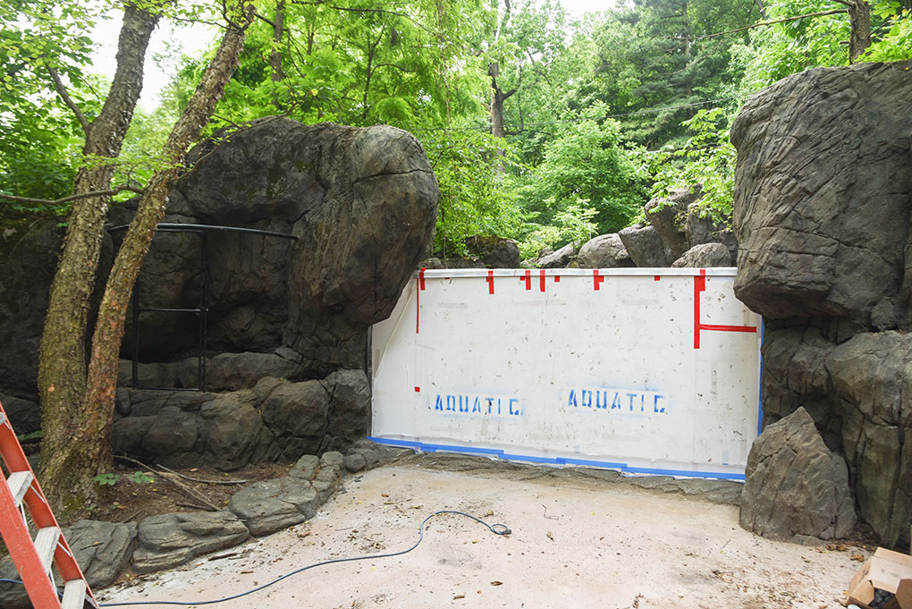 otter habitat with new glass window installed.