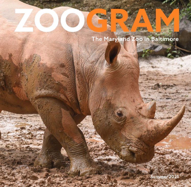 Zoogram magazine summer 2021.