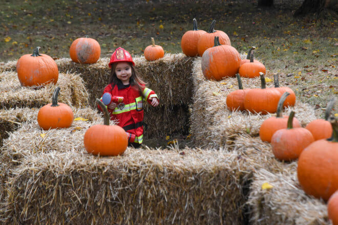 child in hay maze topped with pumpkins