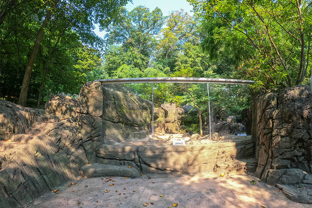 Large viewing glass with flat walkway below and two small areas to step up.