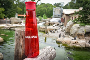 reusable water bottle on fence in front of Penguin Coast.