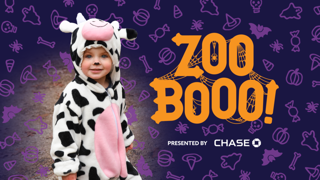 Maryland Zoo Celebrates 38th Annual ZooBOOO! The Maryland Zoo