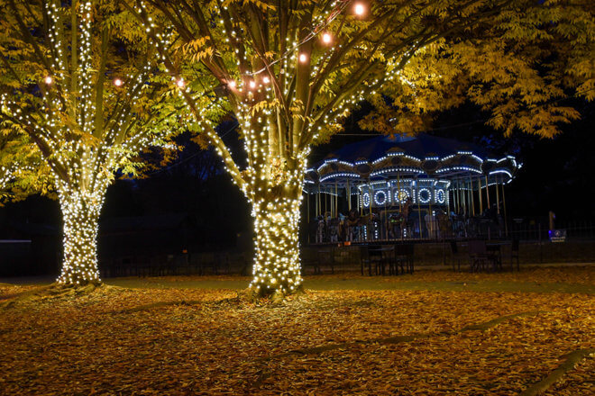 carousel and trees with lights on it
