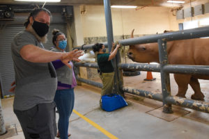 guests attending a rhino training session