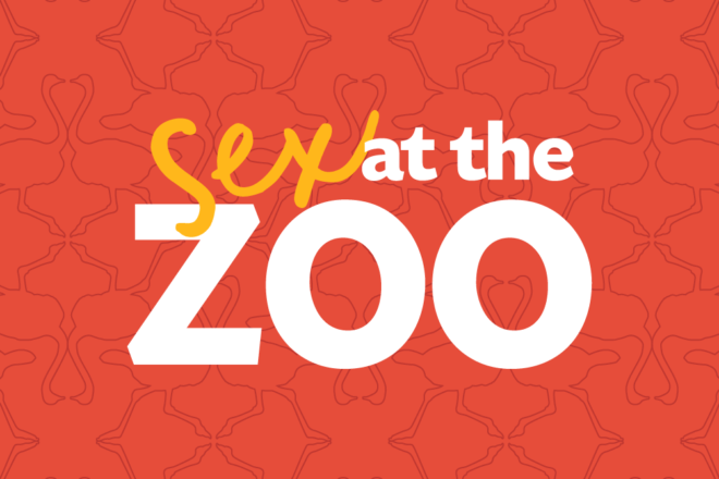 Sex at the Zoo image