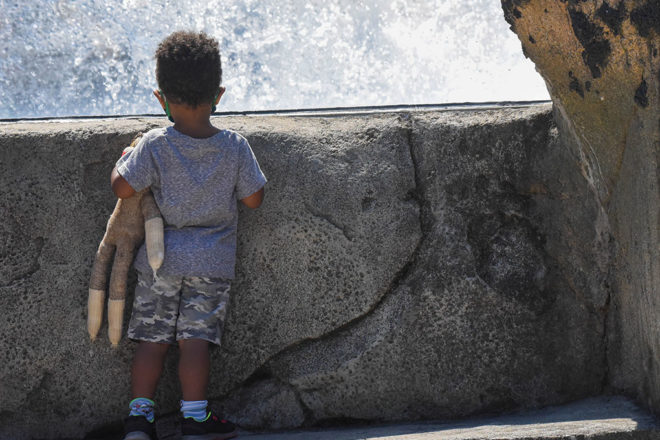 little boy looking into penguin habitat