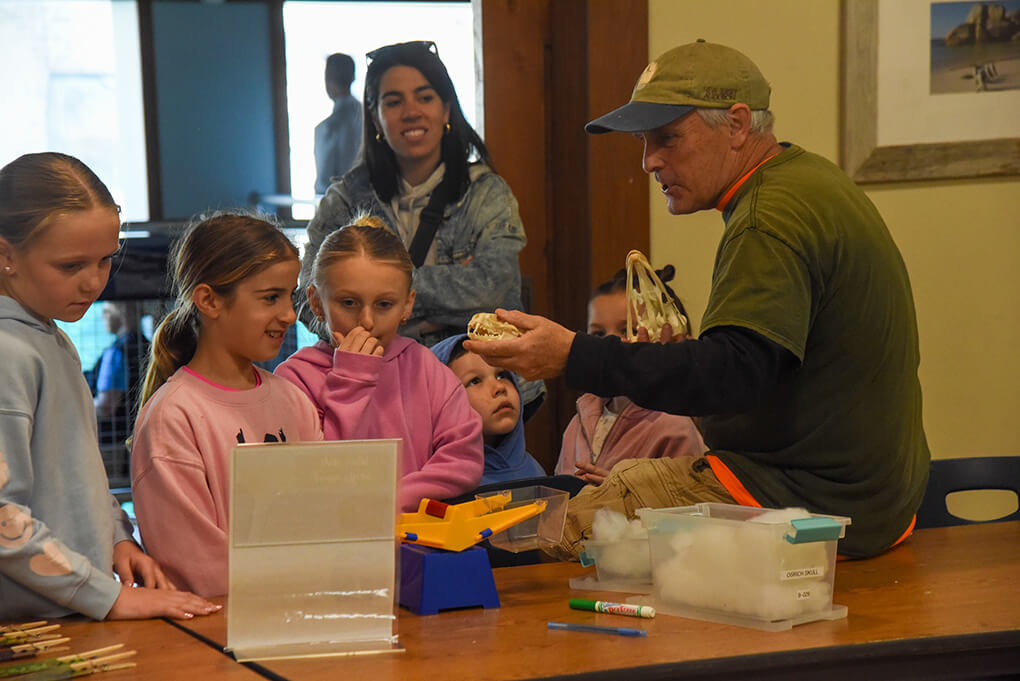 Educator presenting bird skulls to guests