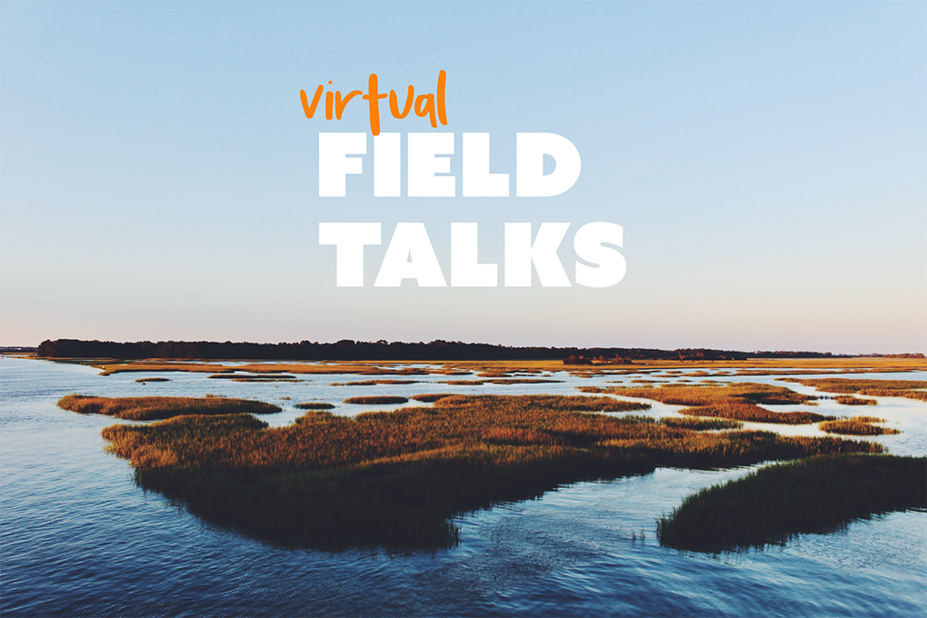 virtual field talks