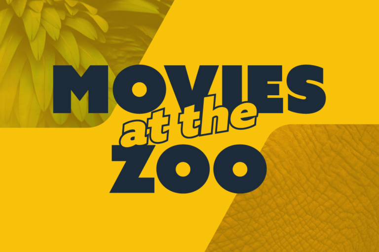 Movies at the Zoo