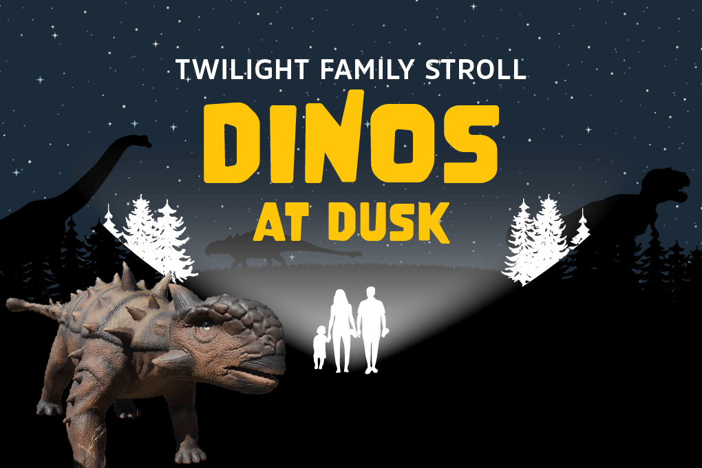 dinos at dusk