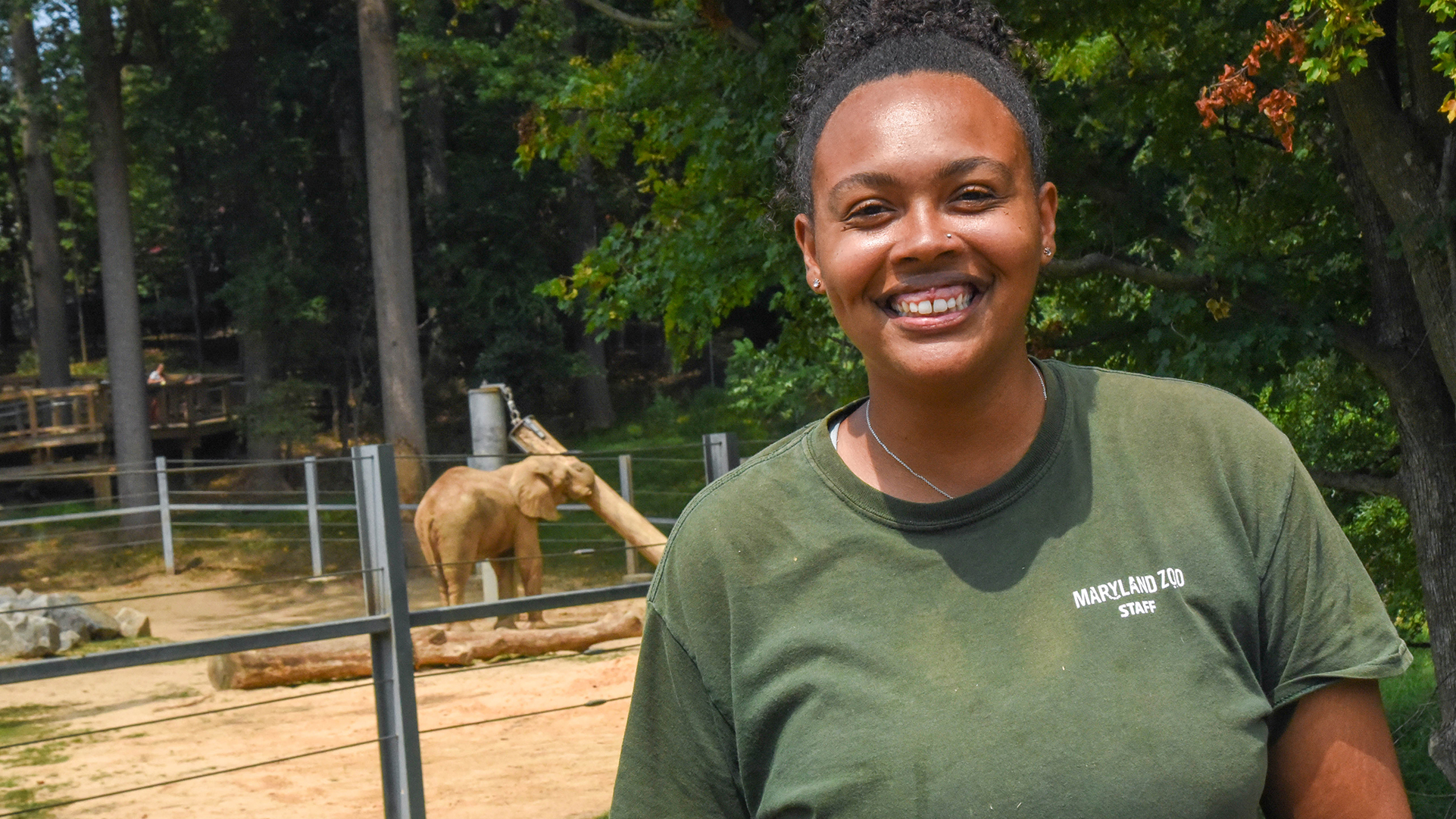 elephant keeper standing in front of elephant