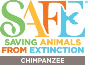 Saving Animals From Extinction Chimpanzee