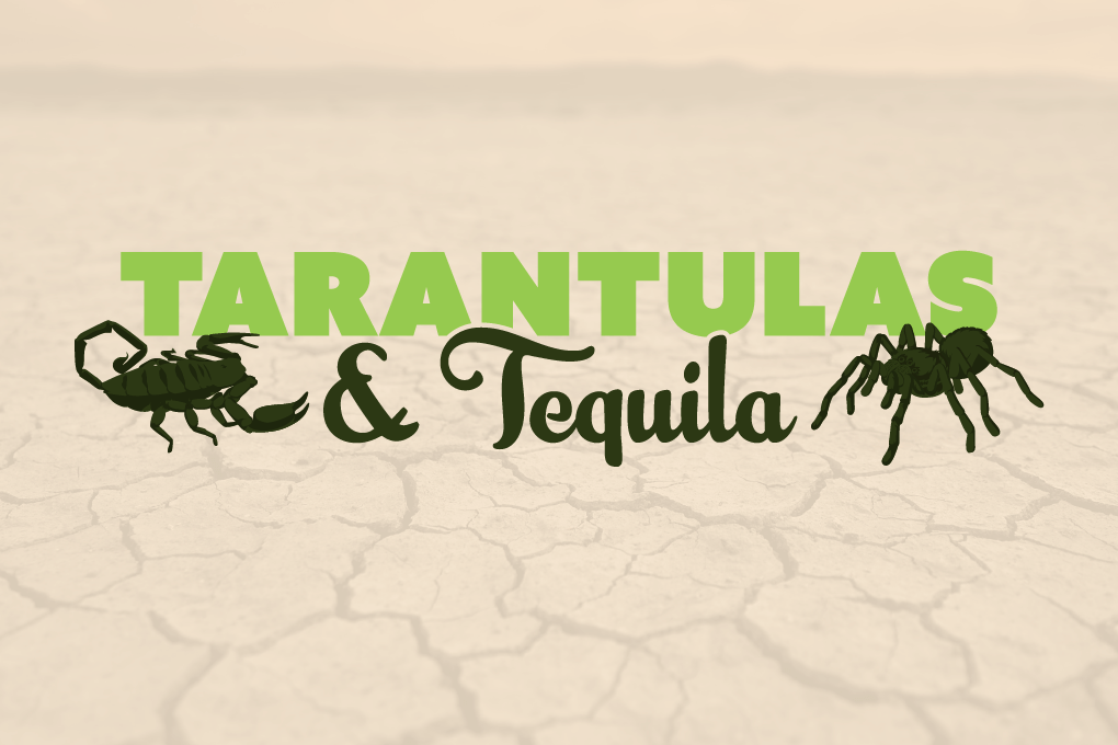 Tarantulas and Tequila