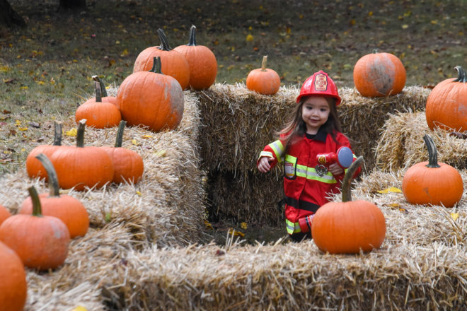 little girl in fireman costume in hay maze