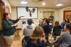 von der decken hornbill flying above guests in a classroom