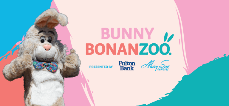 bunny bonanzoo