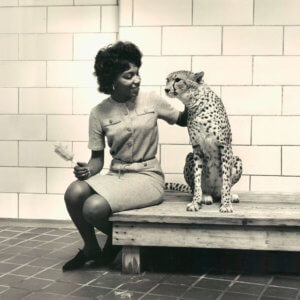 female keeper sitting with cheetah