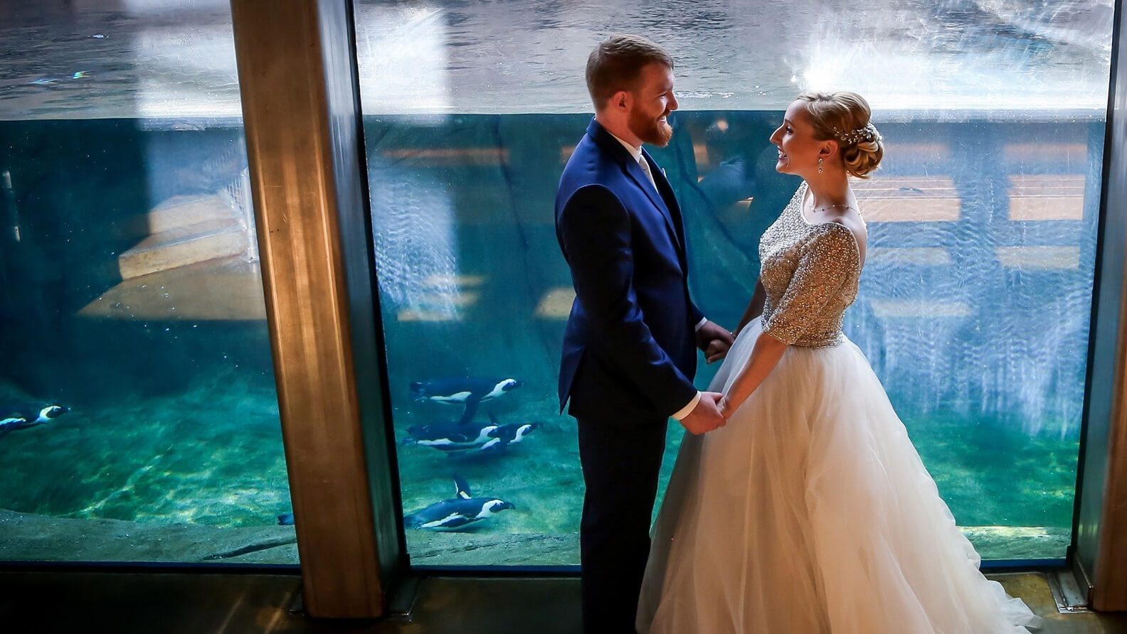 bride and groom holding hands in front of underwater viewing of swimming penguins