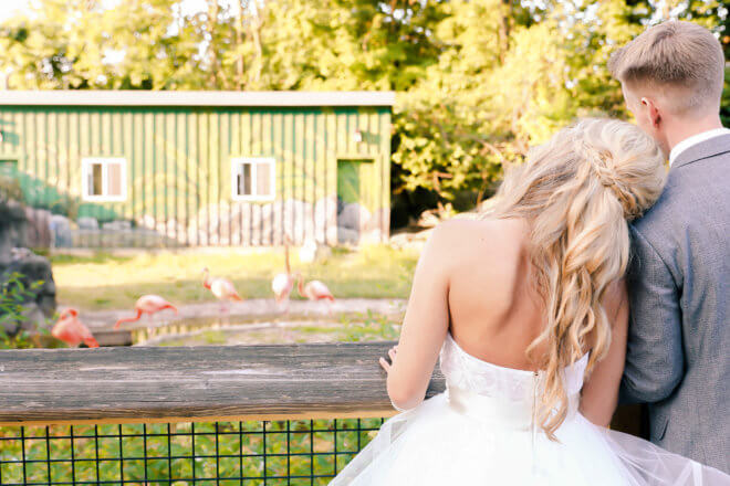 bride with head on groom's shoulder looking at flamingo habitat