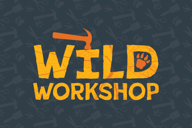 Wild Workshop image