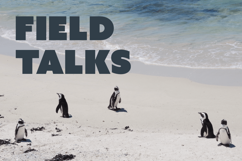 field talks