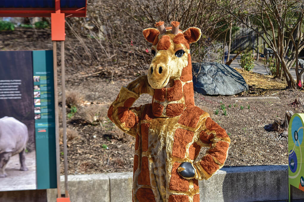 giraffe mascot posing at zoo
