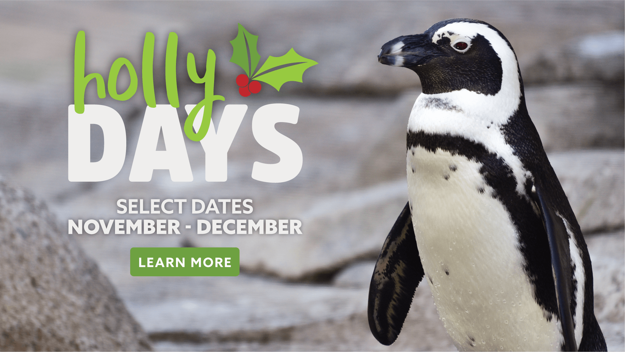 holly days select dates november and december learn more
