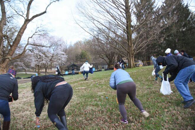 adults picking up plastic eggs throughout field