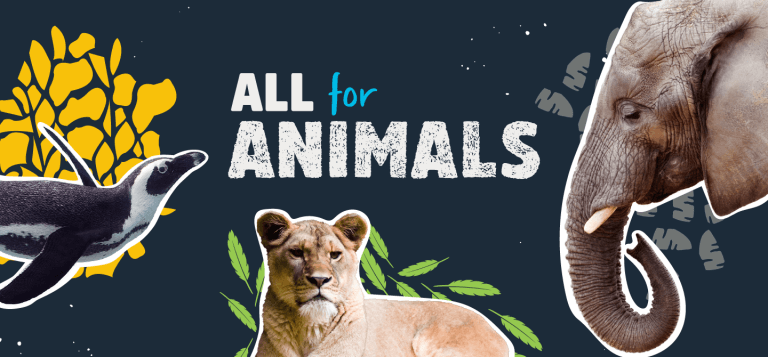 All For Animals