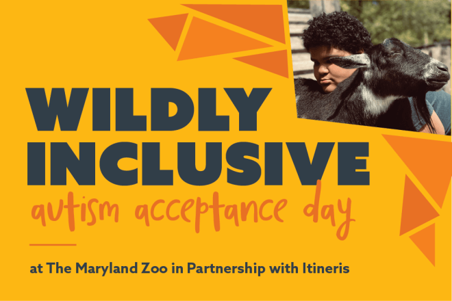 wildly inclusive autism acceptance day